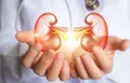 A pair of hands holds a glowing digital representation of human kidneys, with a stethoscope around the neck in the background. The kidneys are illustrated in a semi-transparent, holographic style, emphasizing their significance and connection to medical care and adrenal tumor treatments.