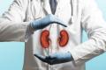 A pair of hands holding a digital representation of kidneys with cancer