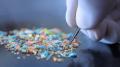 microplastics in testicles can have an impact on your health