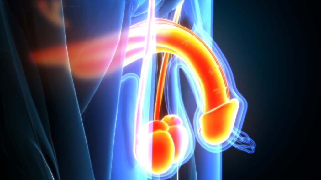 Shockwave Therapy Comprehensive Urology